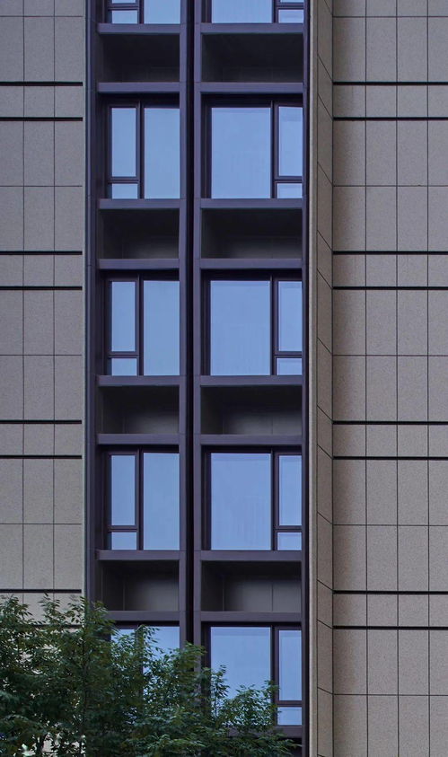老城社区焕新记 宁波金地华章府